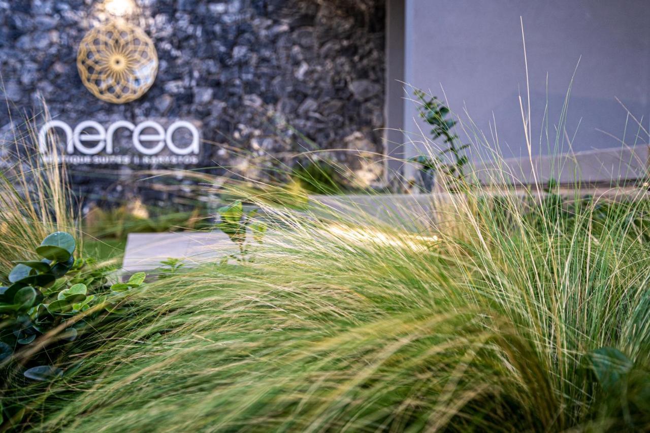 Nerea Boutique Suites Karystos Exterior foto